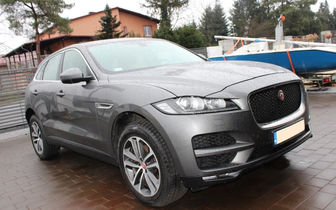 Jaguar F-Pace cena 80000 przebieg: 139000, rok produkcji 2017 z Łasin małe 596